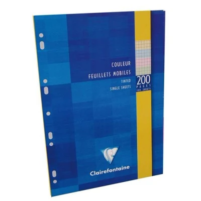 Image de Feuillets Mobiles sous Etui A4 200 pages (50x4 Couleurs Assorties) Q.5x5