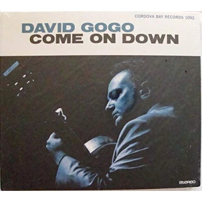 Afbeelding van David Gogo Come On Down (CD)