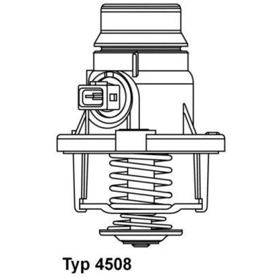 Afbeelding van Wahler Thermostaat 4508.105D