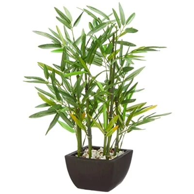 Afbeelding van Decoratieve bamboeplant in pot