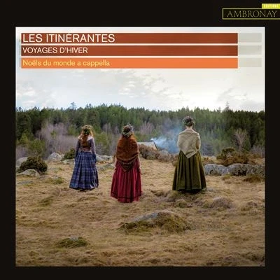 Afbeelding van Les Itinerantes Voyages D&#039;hiver (CD)