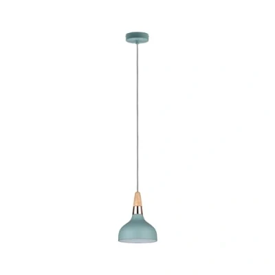 Afbeelding van Paulmann Neordic Juna 79652 Hanglamp LED E14 20 W Zachtgroen, Koper, Hout