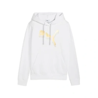 Afbeelding van PUMA Sweat à capuche unisexe Ess Metallic Fl (1 pièce)
