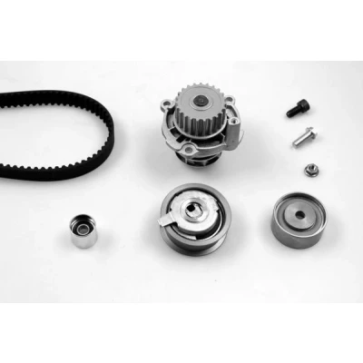 Afbeelding van HEPU PK05455 Waterpomp + Distributieriem Set 145 AUDI: A3 Sportback, Hatchback, A4 B6 Avant, VOLKSWAGEN: Golf 5, Touran I