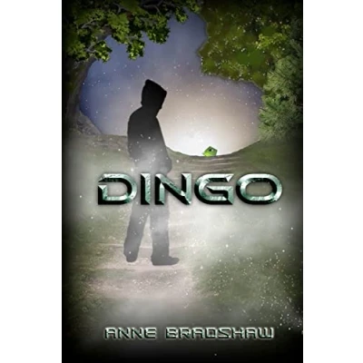 Afbeelding van Dingo