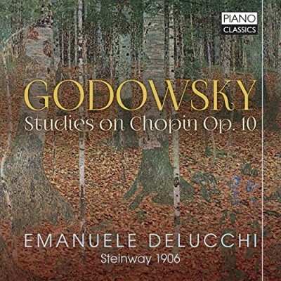 Afbeelding van Emanuele Delucchi Godowsky: Studies On Chopin Op. 10 (CD)