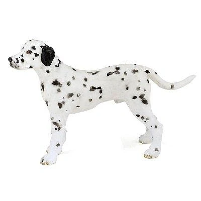 Image de Chien Dalmatien