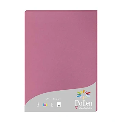 Image de Etui de 50 feuilles Pollen A4 Rose Hortensia 160g