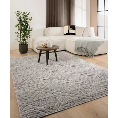 Afbeelding van Scandinavisch Vloerkleed Arc Gem Lichtgrijs 80x150 Cm