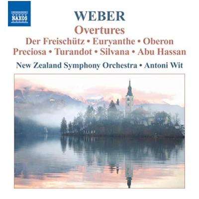 Afbeelding van Nzso Overtures (CD)