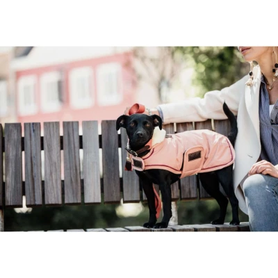 Afbeelding van Kentucky Hondenjas Waterproof 160g Koraal 56cm Agradi.be