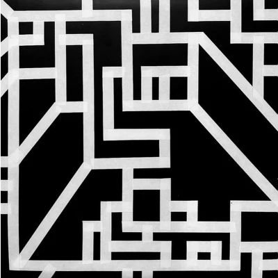 Afbeelding van Zomes Earth Grid (LP)
