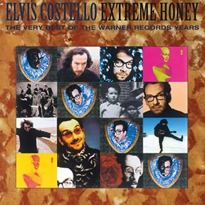 Afbeelding van Elvis Costello Extreme Honey Very Best of Warner Records Years (2 LPs)
