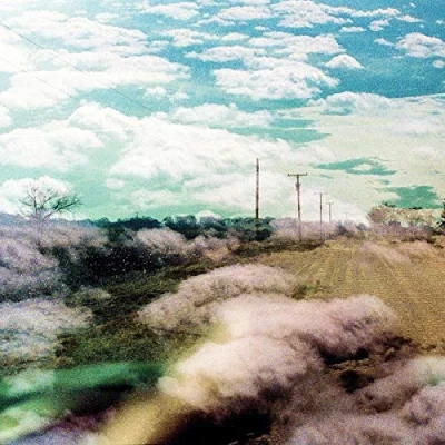 Afbeelding van The World Is A Beautiful Place &amp; I Always Foreign (LP)