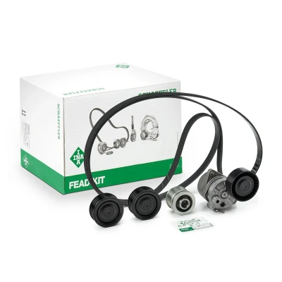 Afbeelding van Poly V riem set INA 529 0115 21