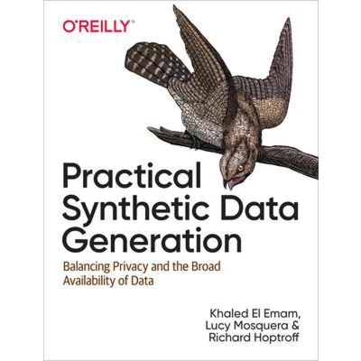 Afbeelding van Practical Synthetic Data Generation