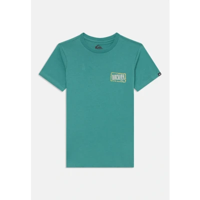 Afbeelding van Quiksilver T Shirt Manche Courtes EV GOTAM Foam SS Vert 16