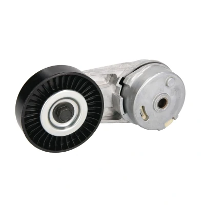 Afbeelding van Skf Spanrol (poly) V riem VKM 34027