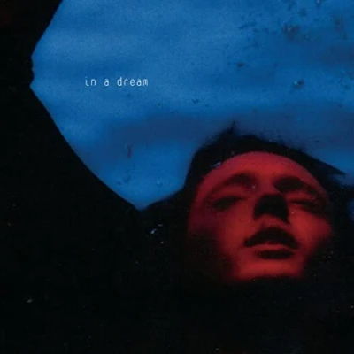 Afbeelding van Troye Sivan In A Dream (CD) (Deluxe Edition)
