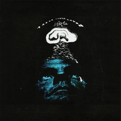 Afbeelding van Arbor Labor Union I Hear You (CD)