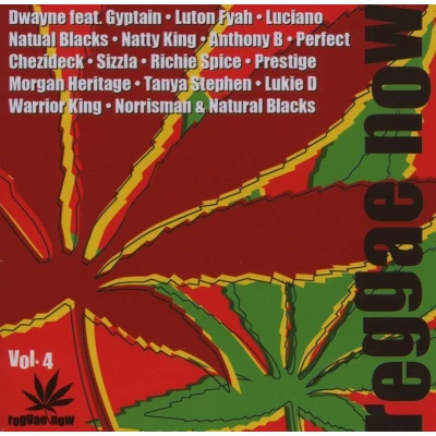 Afbeelding van Various Artists Reggae Now Vol. 4 (CD)