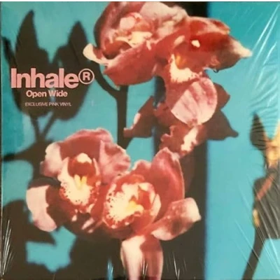 Afbeelding van Inhaler Open Wide (LP)