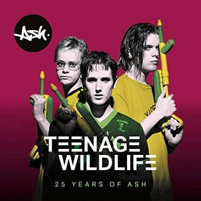 Afbeelding van Ash Teenage Wildlife 25 Years of (2 LPs)