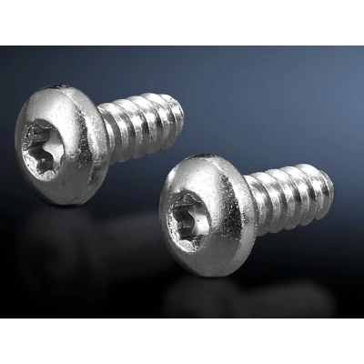 Afbeelding van Rittal SZ 2486.400 Plaatschroef 300 stuk(s)