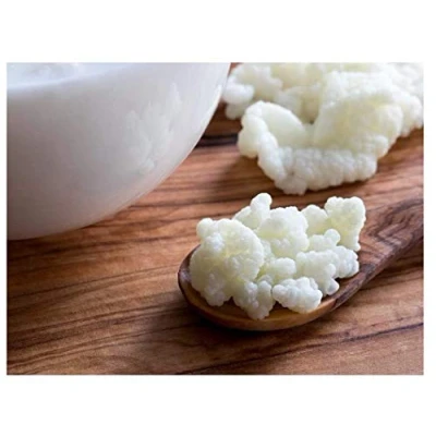 Afbeelding van Verse levende melk kefir korrels mesofiele starter om yoghurtbacteriën te maken drinken uit culturen