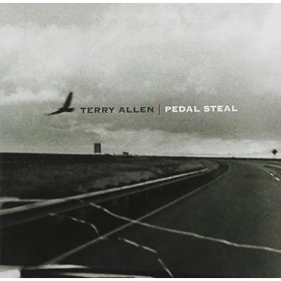 Afbeelding van Pedal Steel