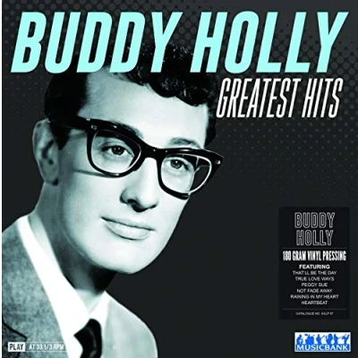 Afbeelding van Buddy Holly Day the Music Died (LP)