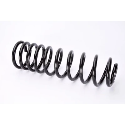 Afbeelding van Magnum Technology SW064MT Chassisveer Achteras Schroefveer