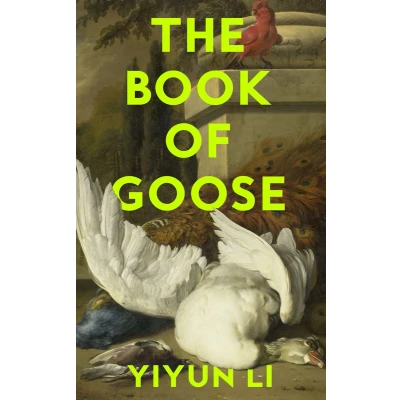Afbeelding van The Book of Goose