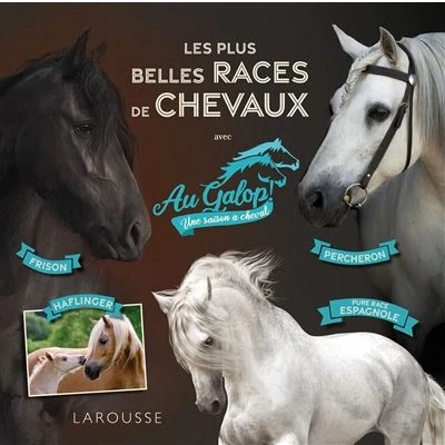 Image de Au galop Les plus belles races de chevaux