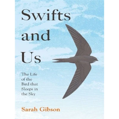 Image de SWIFTS AND US