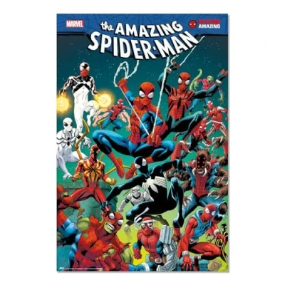 Afbeelding van Poster Marvel Spider Man Web 61x91,5cm