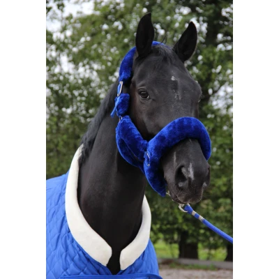 Image de HB Showtime Licol Fluffy Desir Bleu Royal Poney