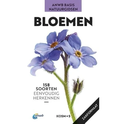 Afbeelding van ANWB Basis natuurgids Bloemen