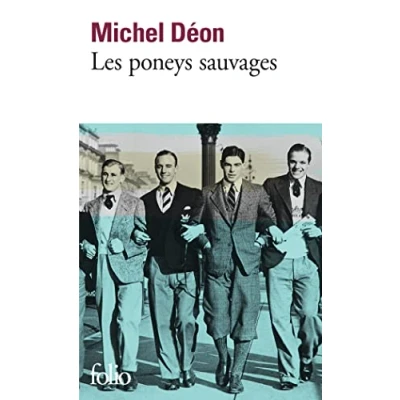 Afbeelding van Les poneys sauvages
