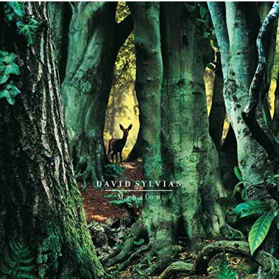 Afbeelding van David Sylvian Manafon (2 LPs)