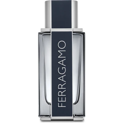 Afbeelding van Salvatore Ferragamo Eau de Toilette 100 ml