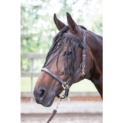 Afbeelding van Harry&#039;s Horse Vliegenfrontriem Pony
