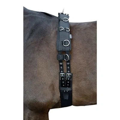 Afbeelding van HKM Longeersingel met schoft pony