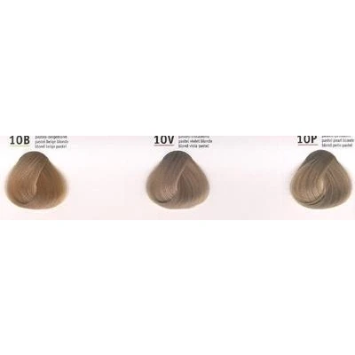 Afbeelding van GW Topchic Hair Color Bus 10B