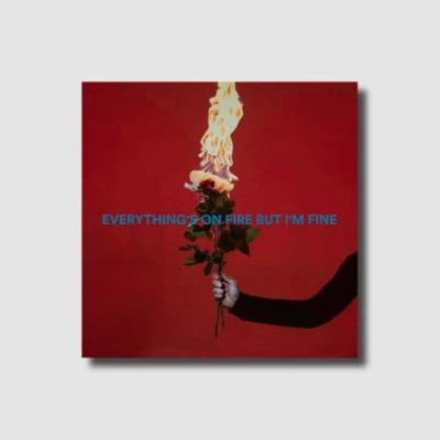 Afbeelding van As December Falls Everythings On Fire But Im Fine (CD)