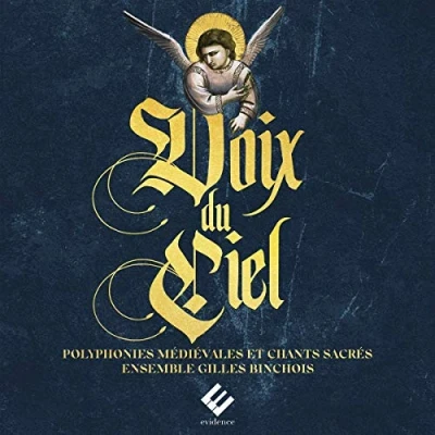 Afbeelding van Ensemble Gilles Binchois Dominique Voix Du Ciel (2 CD)