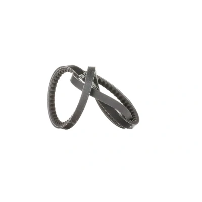 Afbeelding van Gates V riem 6318MC