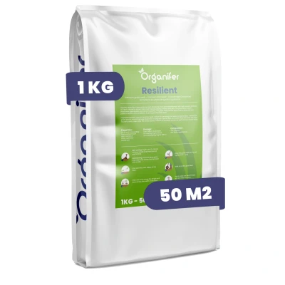 Afbeelding van Organifer Herstelgazon Graszaad Resilient (1 kg voor 50 m2)