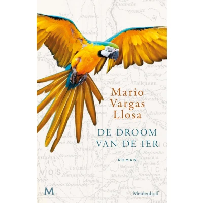 Afbeelding van de droom van Ier