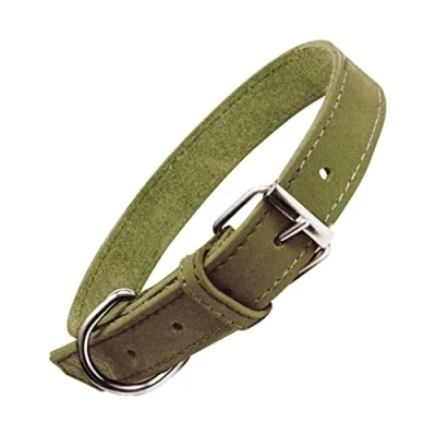 Afbeelding van Dog collar Gloria Oasis Green (65 x 3 cm)
